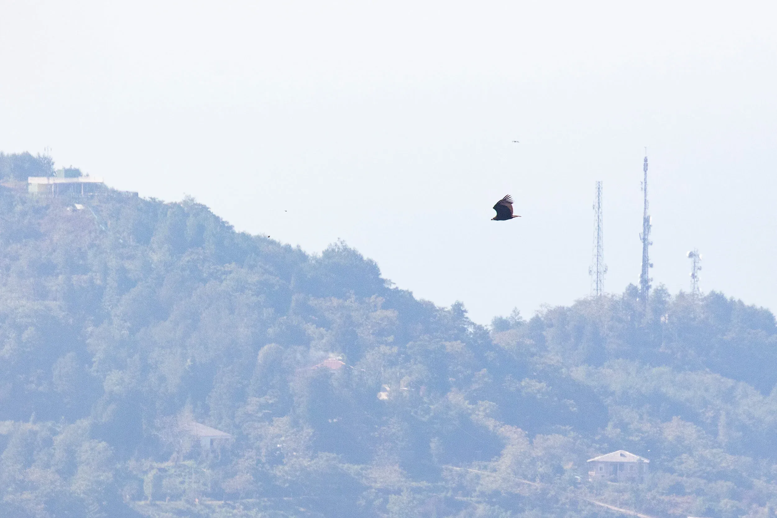 October 16th. Nicely flying in-between stations.