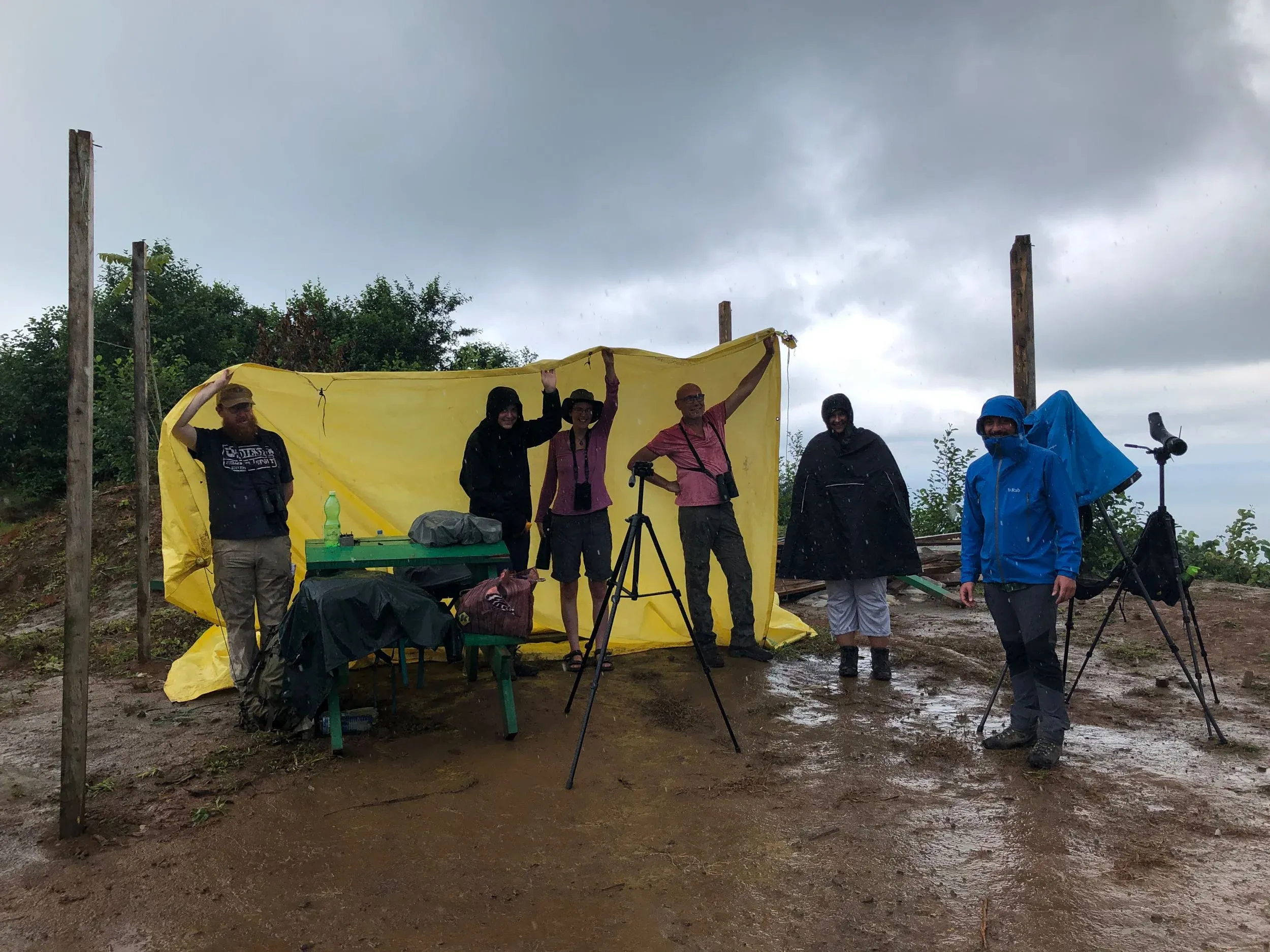 August 22nd. One of the rare moments of rain this season. Our makeshift shelter was not able to withstand the downpour that ensued, so we had to resort to holding the tarp for a while. Luckily, there was no migration going on at that moment.