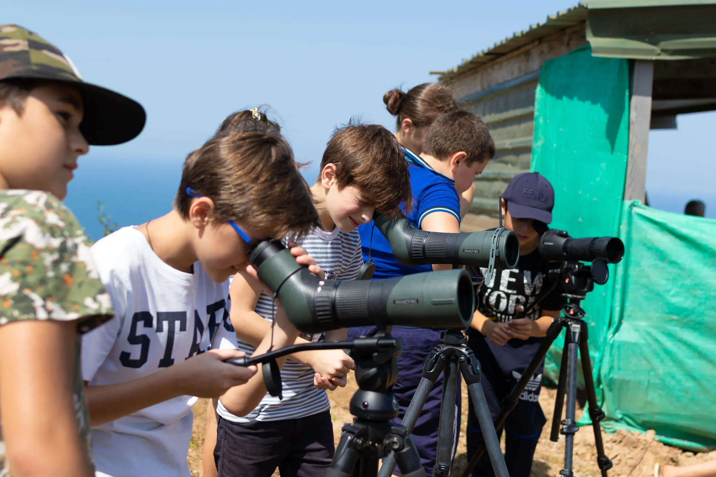 September 6th. Looking through the scopes at the other station and birds in their vicinity is captivating for many.