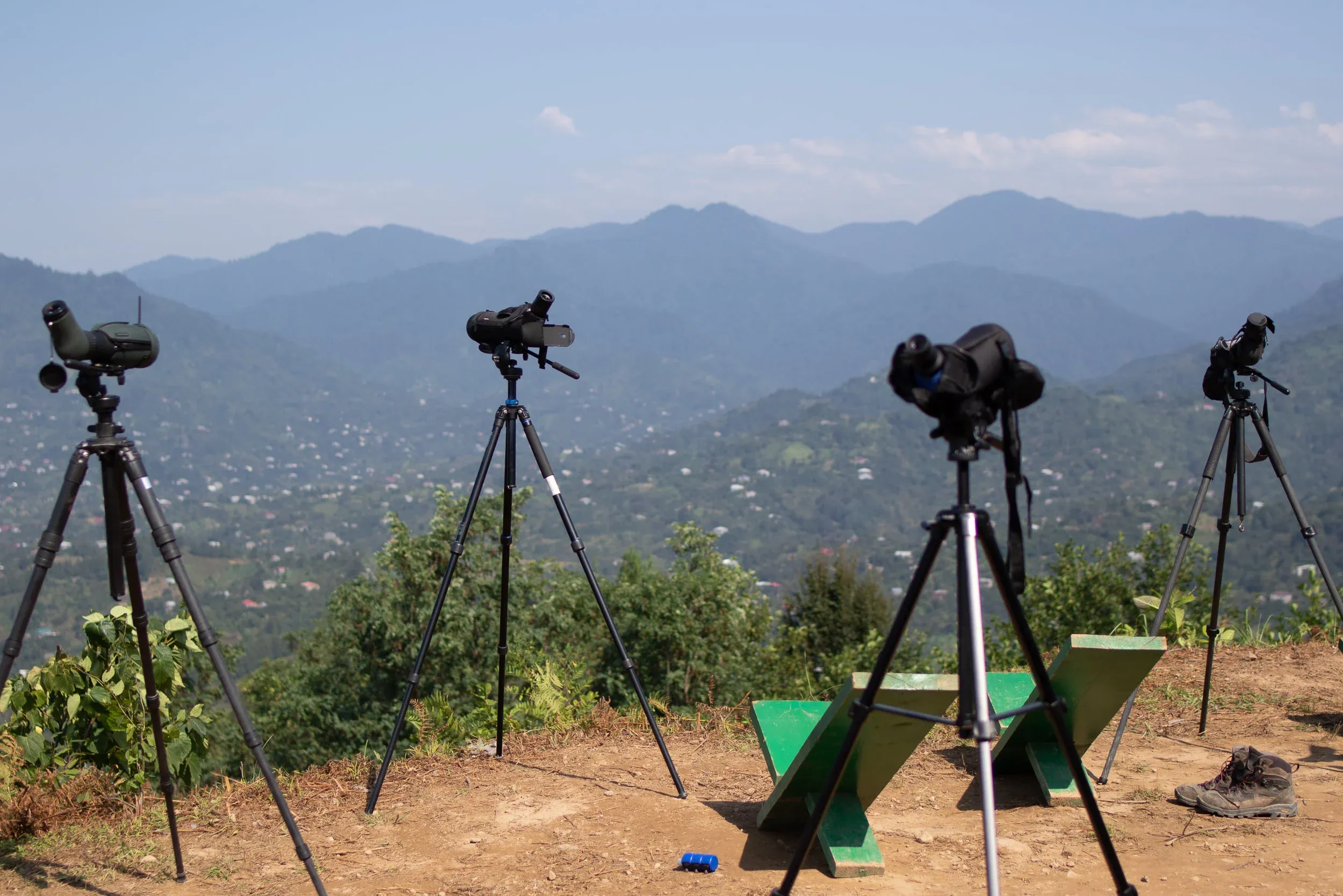 September 6th. Due to a lack of cloud cover, there are occasional dull moments when Station 2 has all the birds, and Station 1 has none.