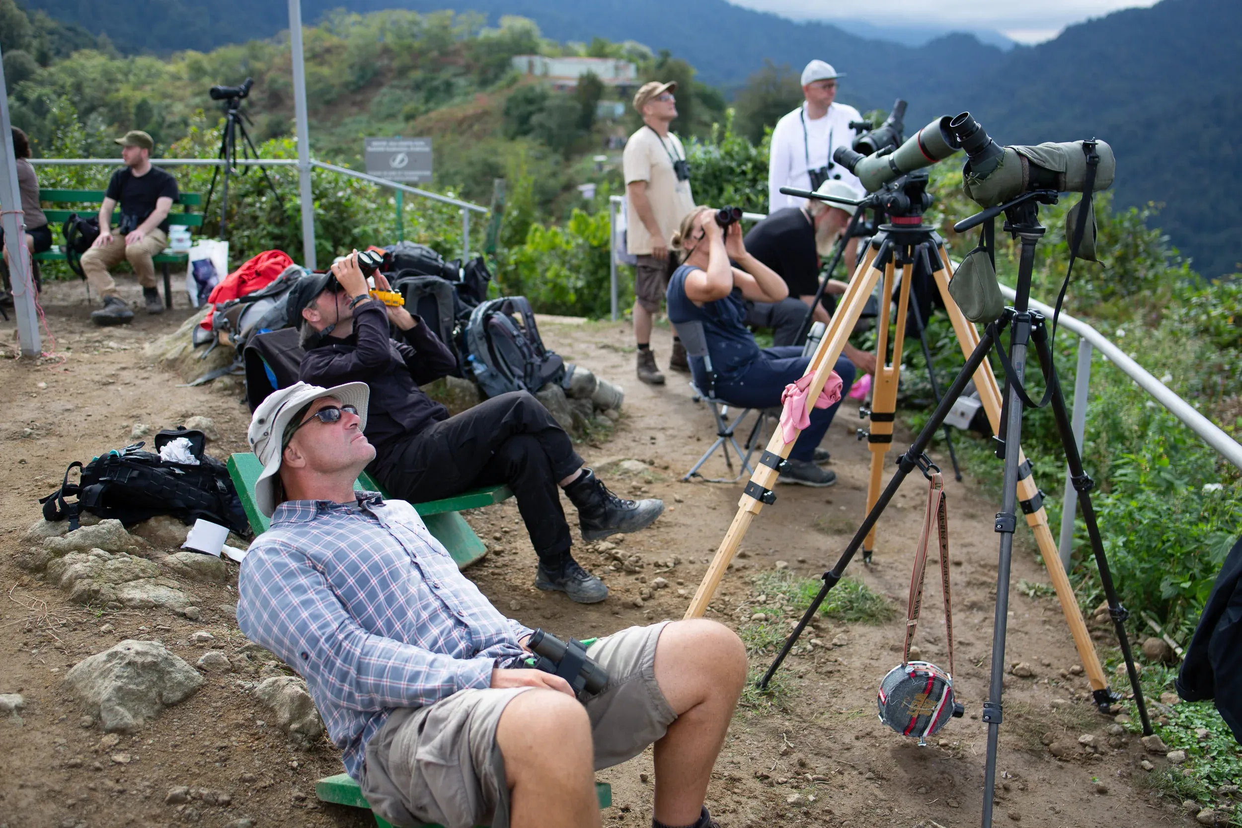 September 28th. Counting streams of almost overhead birds, with the naked eye, and identifying species with binoculars.