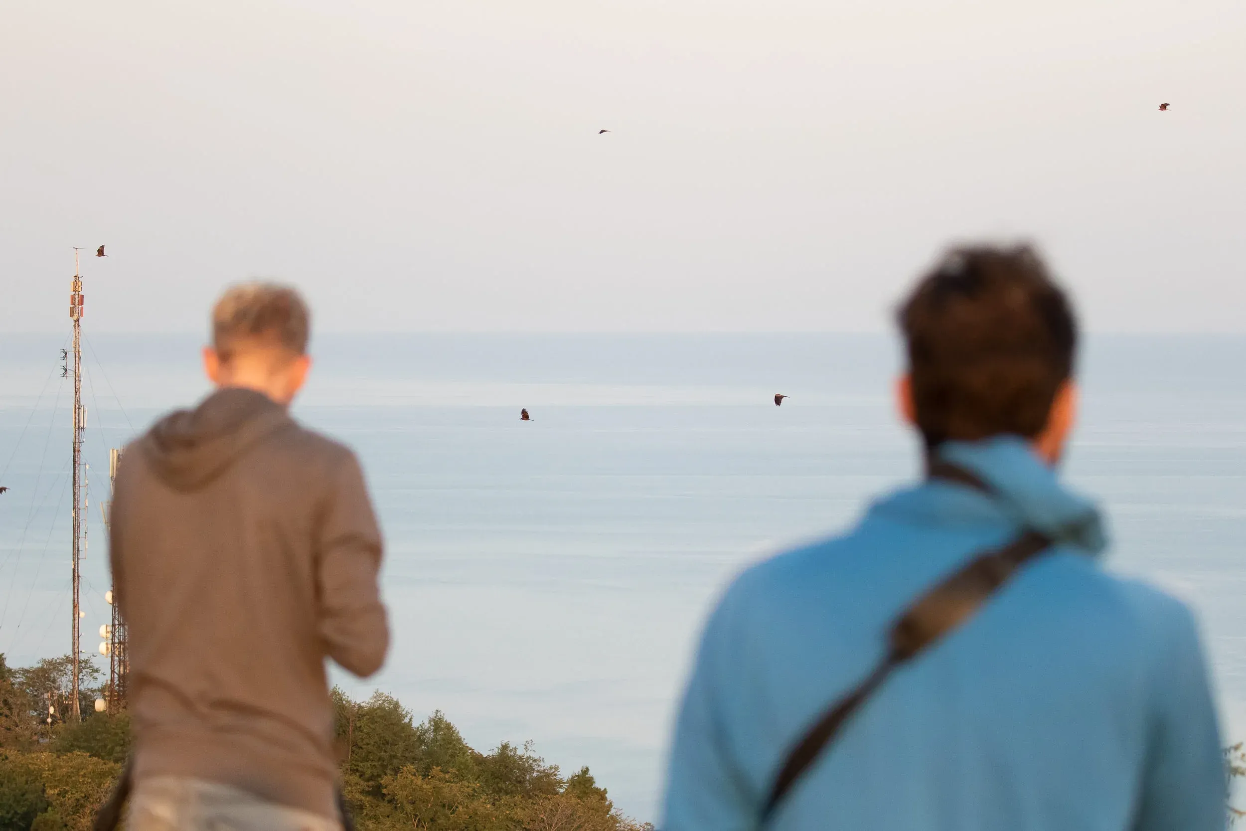 October 8th. Counters counting a stream of Black Kites in the west.