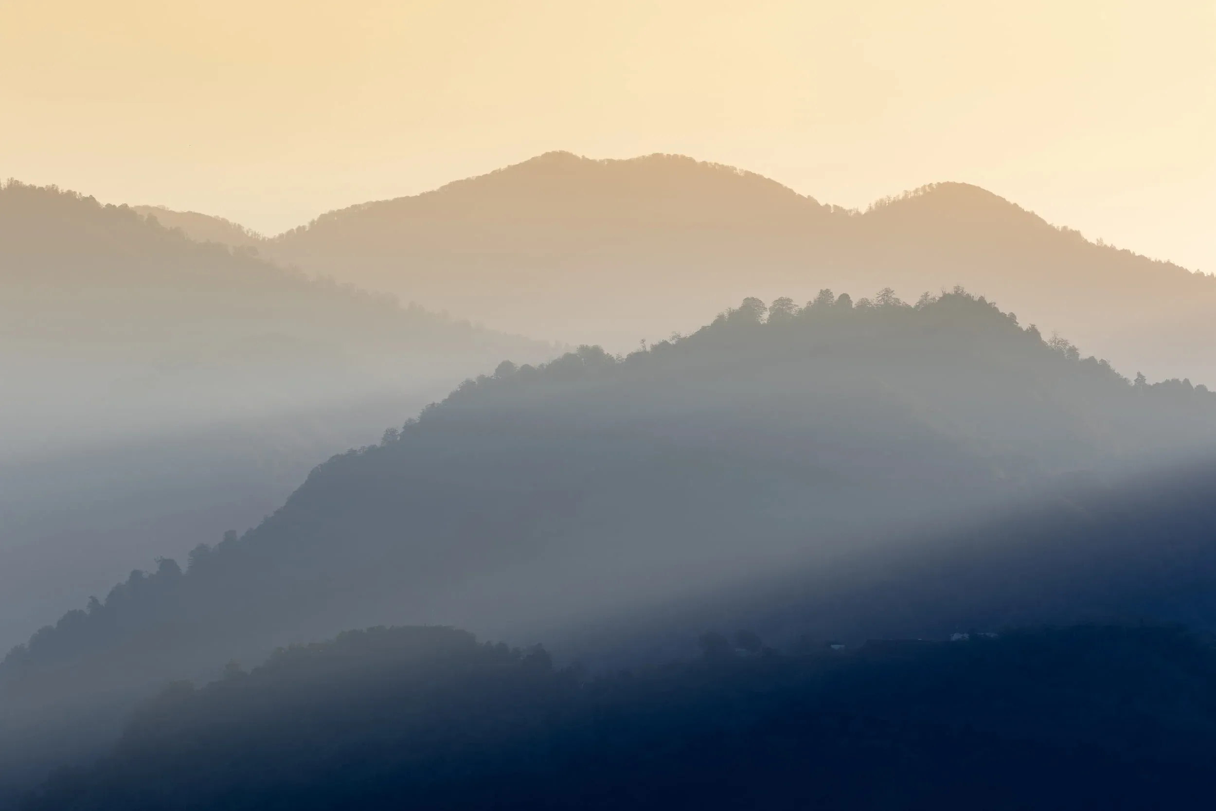 October 16th. The final day of the count. Nice sunrise, looking in the direction of Station 2 and Little Ginger.