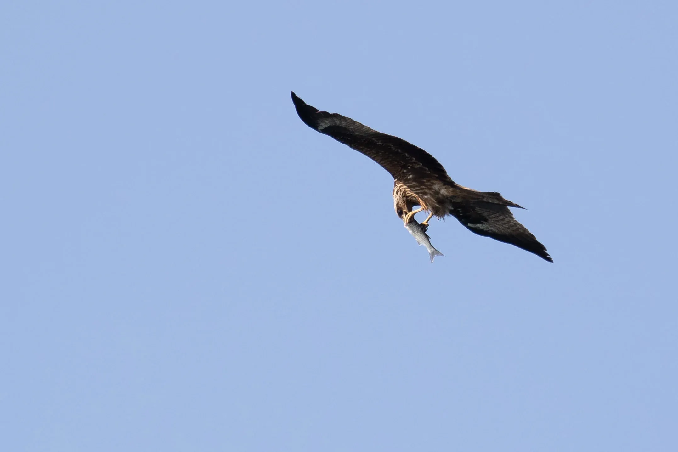 October 19th. Om nom nom…