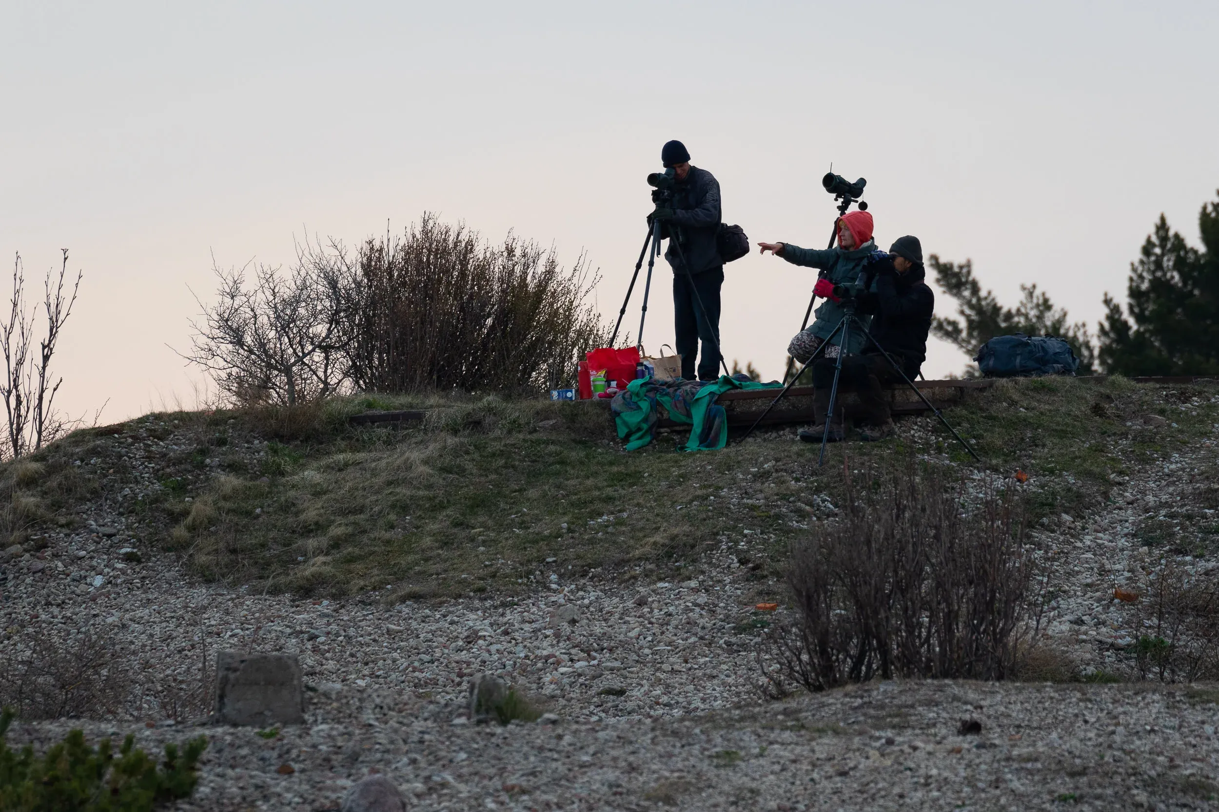 The team that made it happen, minus yours truly. Batumi Raptor Count represented by Triin performing coordinator duties and Gabi doing what he does best: tackling continuous streams of birds.