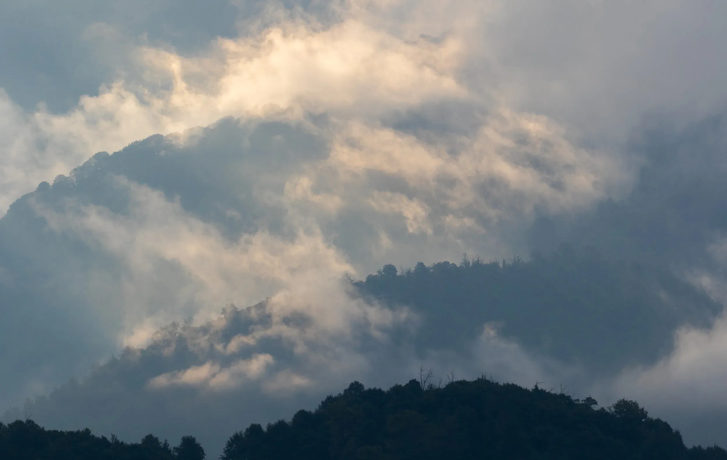 August 22nd. The view to the east, towards ‘Big Momma’, over ‘the ridge’.