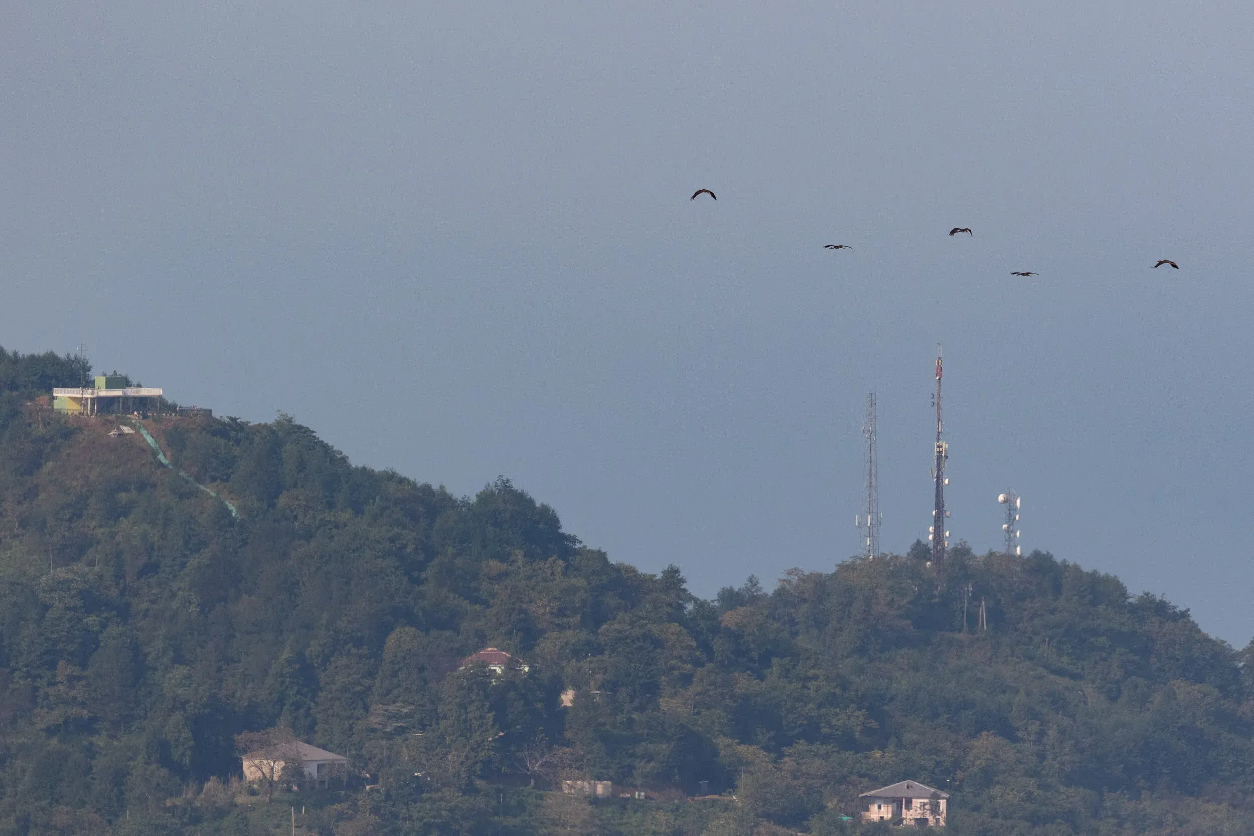 October 4th. Black Storks in between the stations.