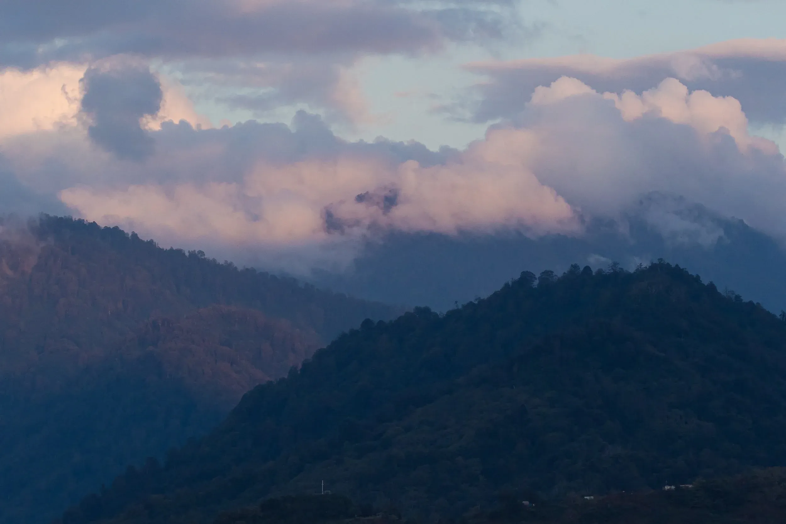 October 12th. The best evening I spent counting this season. Totally on my own, well after the count had officially finished (2 hours before sunset) there was still a flock of 40 large eagles hanging around in the saddle, looking for a place to roost. It’s incredible to be able to witness that on your own, knowing that the spectacle is unfolding without anyone paying attention to it…