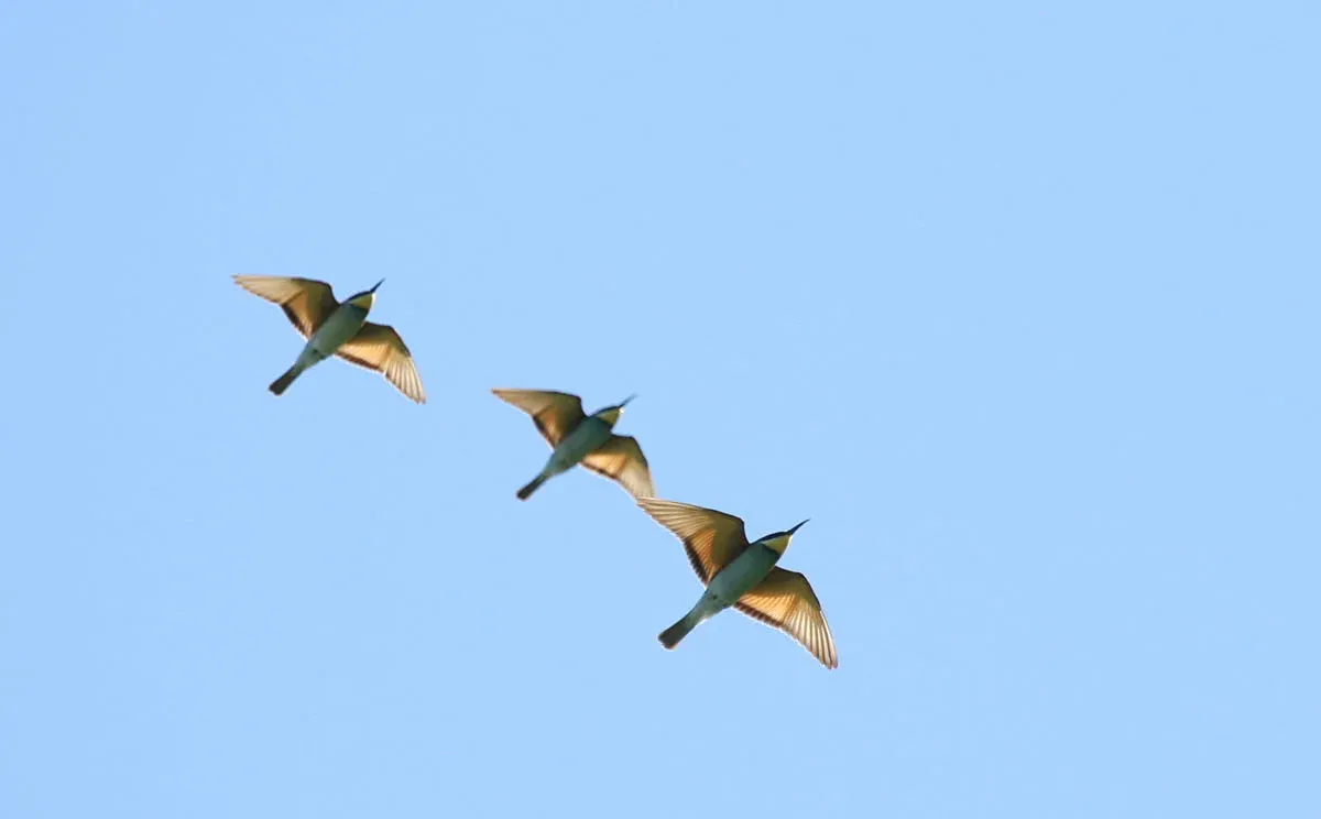 Yeah, you'll just have to enjoy those. Photo by Romain Riols.