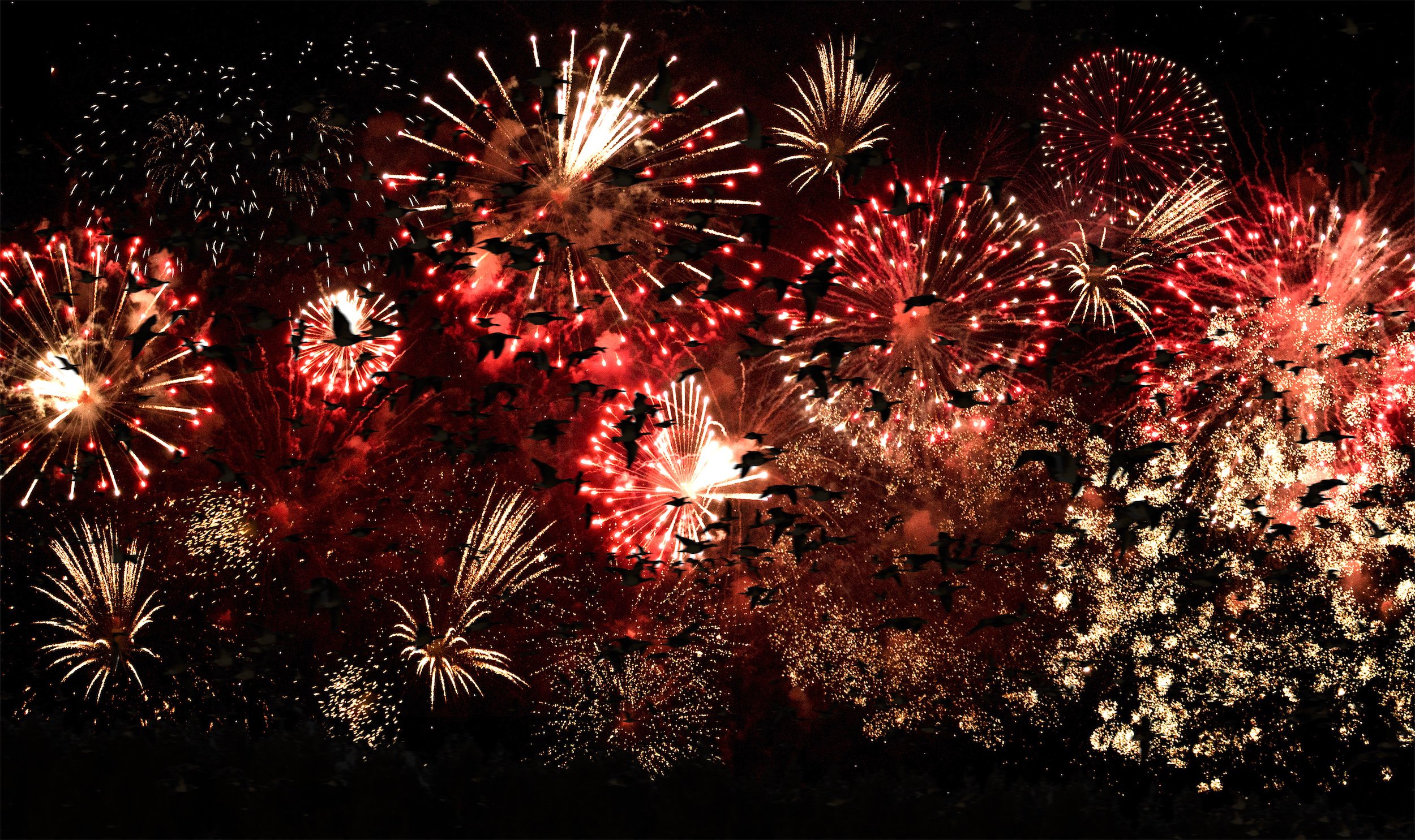 Fireworks on New Year's Eve
