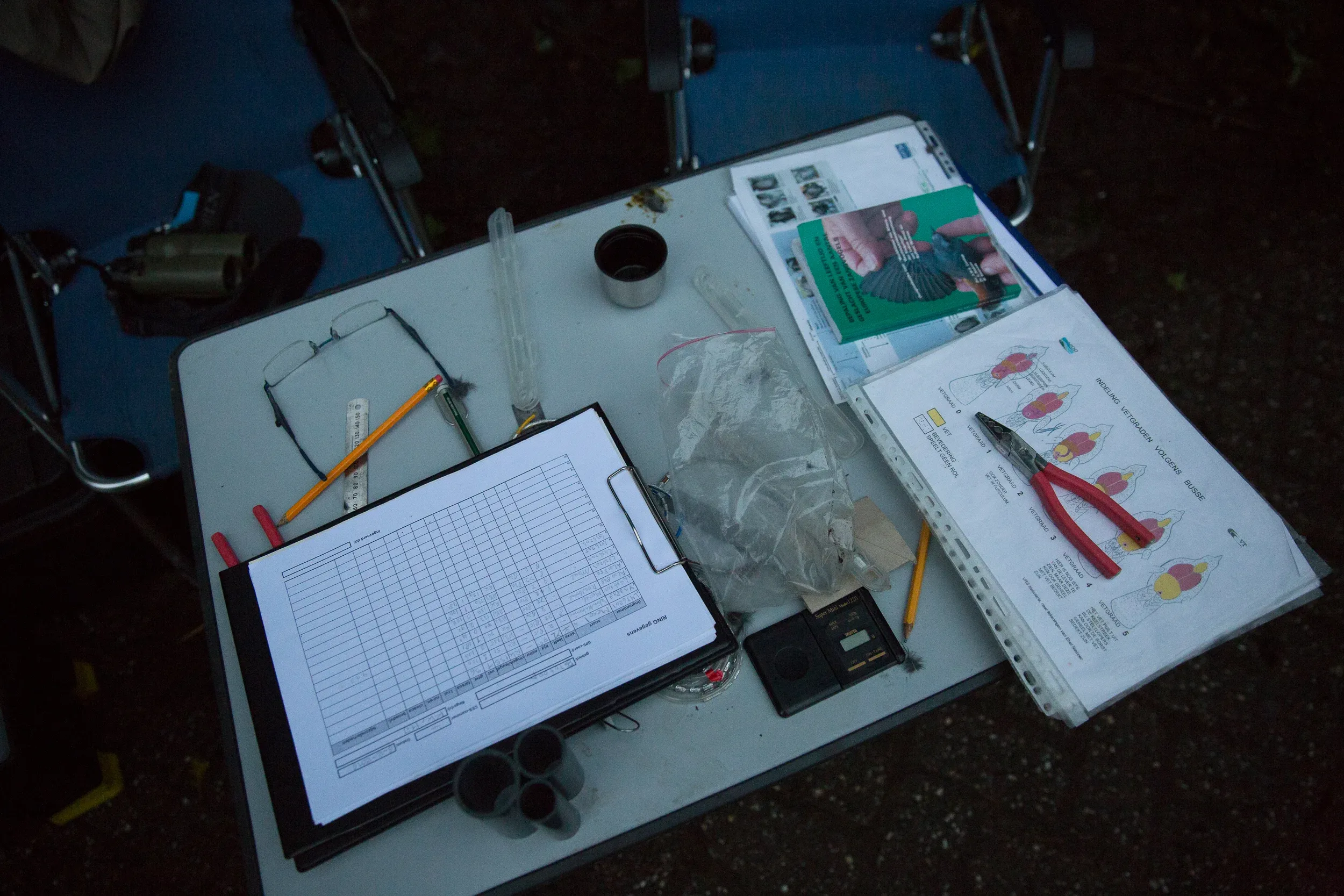 The arsenal of accessories.