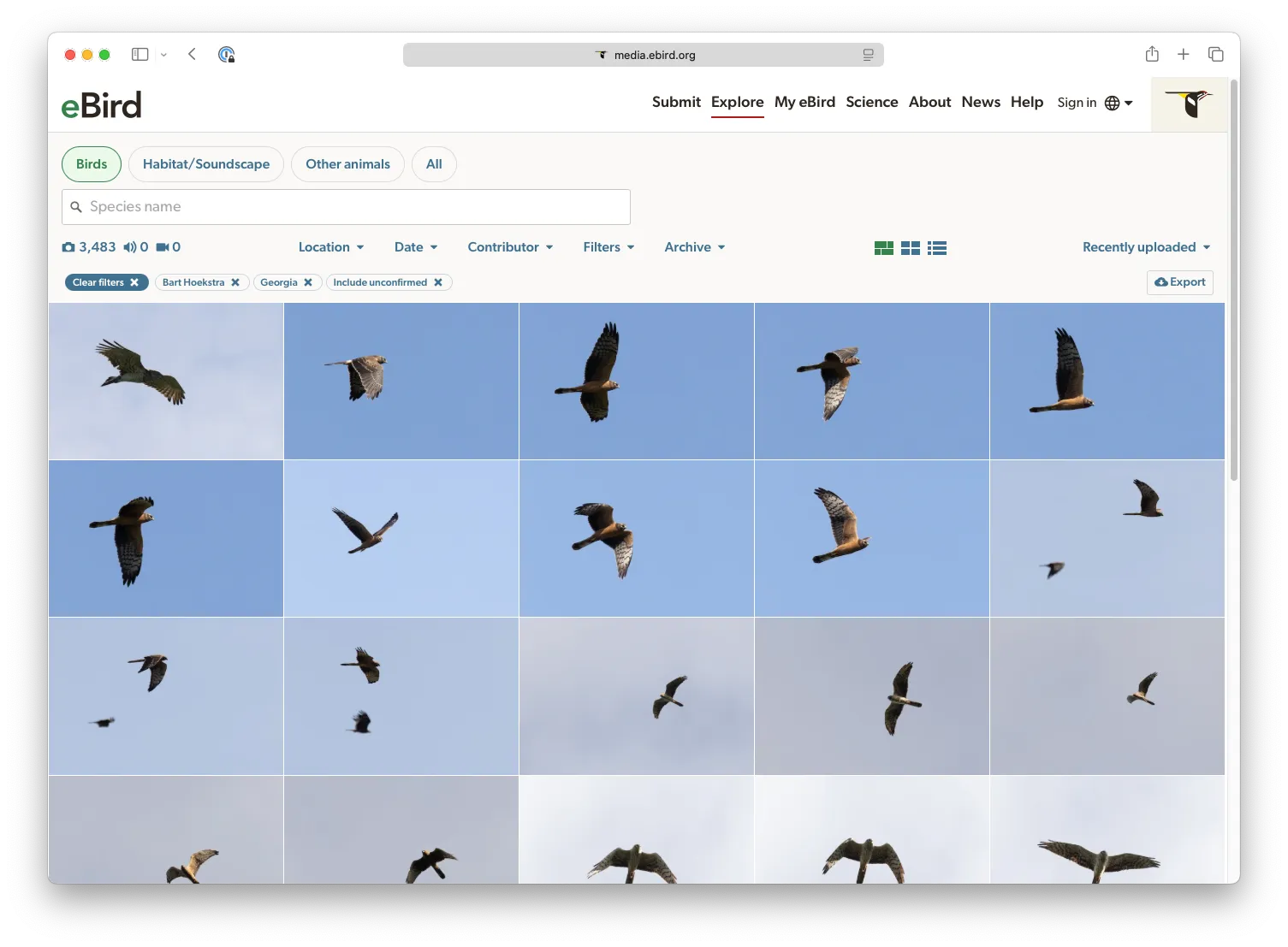 eBird collection