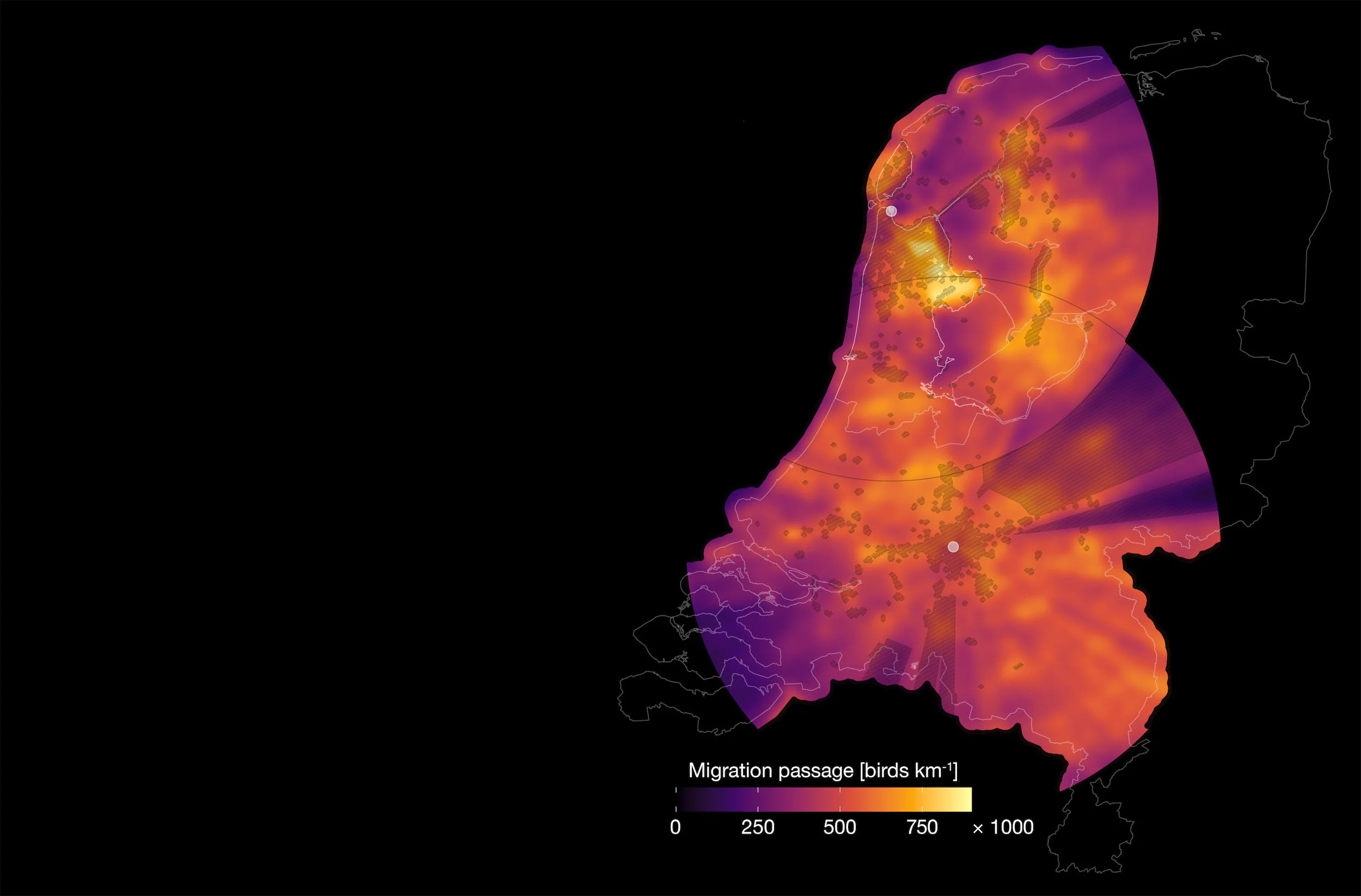 Nocturnal bird migration map of the Netherlands